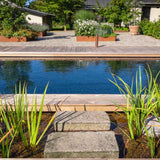 79 m2 terrasse og naturpool i Jyderup