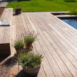 79 m2 terrasse og naturpool i Jyderup