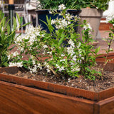 112 m2 terrasse med plantekasser, spanske trapper og lysspots i Vedbæk