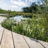 114 m² organisk ipé-terrasse ved svømmesø i Bregnerød